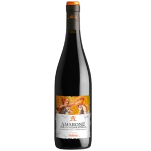 Ville di Antane Amarone